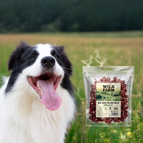 WILD FARM Rollsy Z Kaczki Przysmak Dla Psa 500G Wild Farm