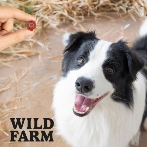 WILD FARM Rollsy Z Kaczki Przysmak Dla Psa 500G Wild Farm