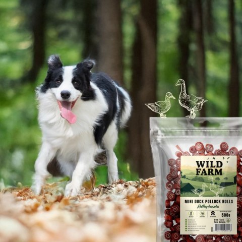 WILD FARM Rollsy Z Kaczki Przysmak Dla Psa 500G Wild Farm