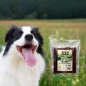 WILD FARM Rurki Dentystyczne Z Królikiem Przysmak Dla Psa 500G Wild Farm