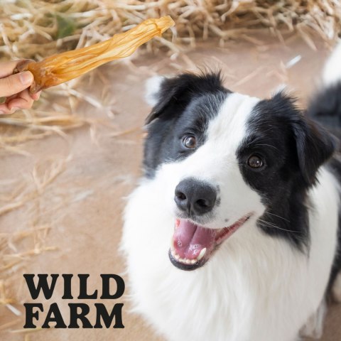 Wild Farm Uszy Jagnięce 300g Przysmak Dla Psa Wild Farm