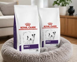 2 x 8 kg ROYAL CANIN Adult Small DOG