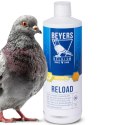 Beyers Reload 1000ml - koncentrat regeneracyjny Beyers
