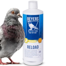 Beyers Reload 1000ml - koncentrat regeneracyjny Beyers