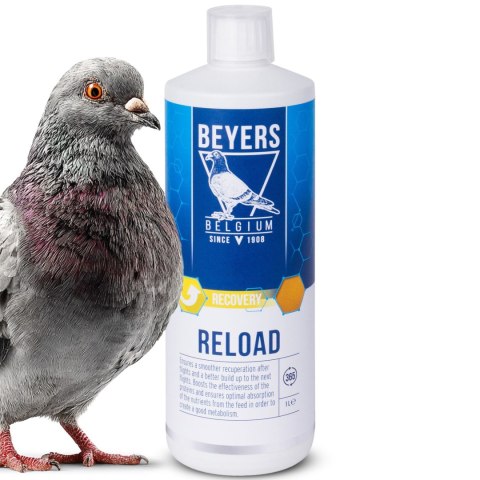 Beyers Reload 1000ml - koncentrat regeneracyjny Beyers
