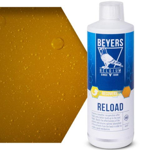Beyers Reload 1000ml - koncentrat regeneracyjny Beyers