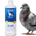 Beyers Reload 1000ml - koncentrat regeneracyjny Beyers
