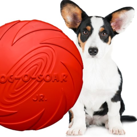 Pet Nova zabawka - dysk gumowy frisbee czerwony 15cm Aqua Nova