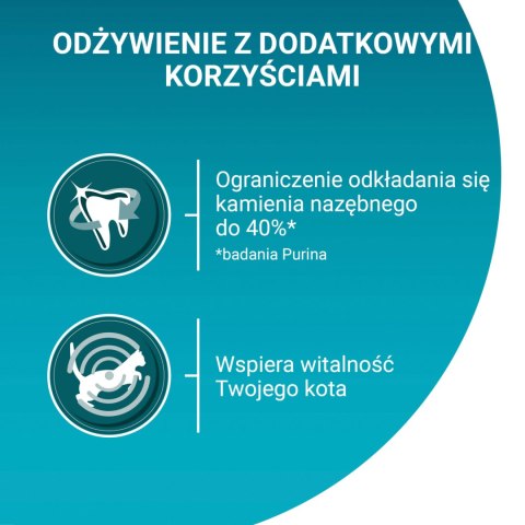 Purina One Cat Adult Karma Z Wołowiną Dla Kota 800g PURINA ONE