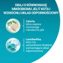 Purina One Cat Adult Karma Z Wołowiną Dla Kota 800g PURINA ONE