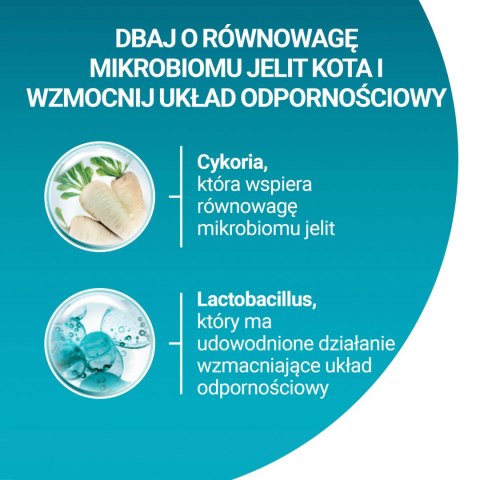 Purina One Cat Adult Karma Z Wołowiną Dla Kota 800g PURINA ONE