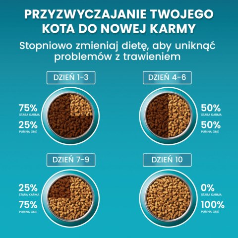 Purina One Cat Adult Karma Z Wołowiną Dla Kota 800g PURINA ONE