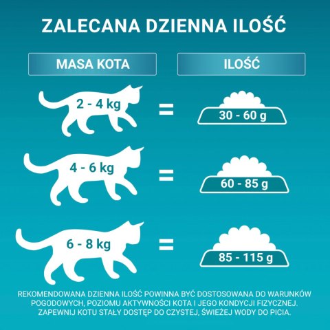 Purina One Cat Adult Karma Z Wołowiną Dla Kota 800g PURINA ONE