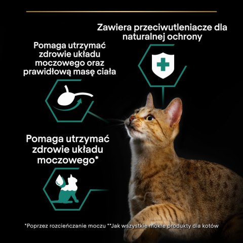 Purina Pro Plan Sterilised Karma Dla Kota Z Rybą Oceaniczną 85g Purina Pro Plan