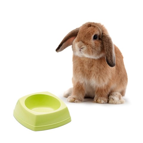 Savic Rodent Bowl - miska dla gryzonia 12x12x4,5cm
