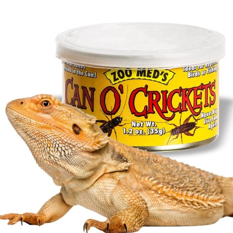 Zoomed Can O' Crickets Medium - pokarm w puszcze świerszcze średnie Zoomed