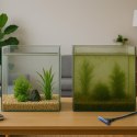 Kruger Meier AquaMate Hydra V - skrobak i czyści do akwarium 5 w 1 Kruger Meier