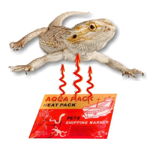 Aqua Heat Pack 40H 'Gold' - ogrzewacz do rąk i transportu zwierząt Terrario