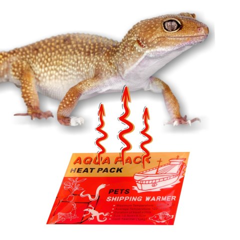 Aqua Heat Pack 40H 'Gold' - ogrzewacz do rąk i transportu zwierząt Terrario