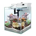 Aquael Nano Reef Duo 35 Biały 2.0 - zestaw akwariowy morski Aquael