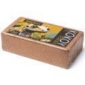 Aventerra Sweden KOKOY 9l powder - włókno kokosa Aventerra