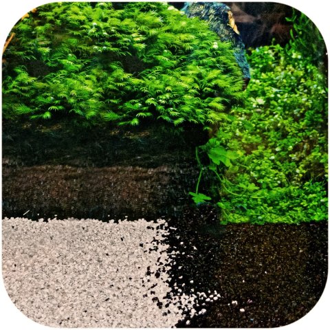 Eco Plant Eco Plant Black River 1kg - żwirek czarny 2-4mm