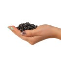 Eco Plant Eco Plant Black River 1kg - żwirek czarny 2-4mm