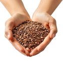 Eco Plant Natural River 1kg - żwir rzeczny 1-3mm Eco Plant