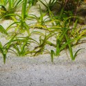 JBL Sansibar River 10kg - podłoże mieszanka JBL