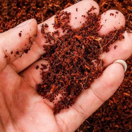 Komodo Komodo Rainforest Substrate 6l - podłoże tropikalne