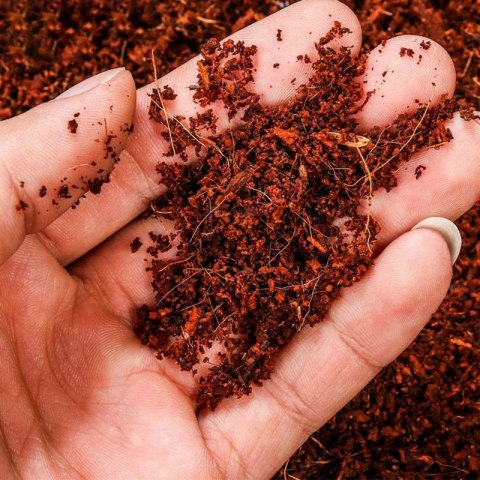Komodo Rainforest Substrate 6l - podłoże tropikalne Komodo