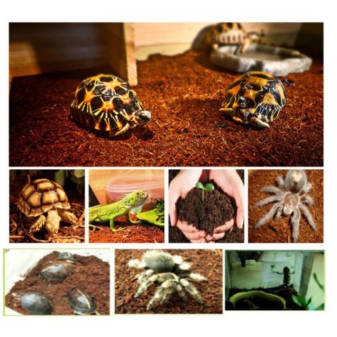 Komodo Rainforest Substrate 6l - podłoże tropikalne Komodo