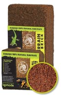 Komodo Komodo Tropical Terrain Brick L - podłoże z włókien kokosa 8l