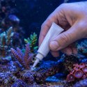 Kruger Meier Reeficon Gel 20g - klej do koralowców Kruger Meier