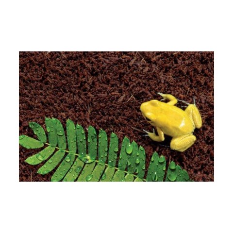 Repti-Zoo Podłoże z włókien kokosa 4l Repti-Zoo