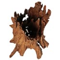 Philippines Classic Driftwood - drzewo mangrowca z wody L 30cm - 40cm Terrario