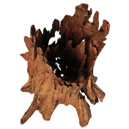 Terrario Philippines Classic Driftwood - drzewo mangrowca z wody L 30cm - 40cm