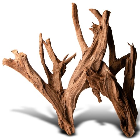 Philippines Classic Driftwood - drzewo mangrowca z wody L 30cm - 40cm Terrario