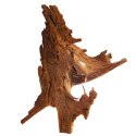 Philippines Classic Driftwood - drzewo mangrowca z wody L 30cm - 40cm Terrario