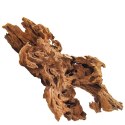 Philippines Classic Driftwood - drzewo mangrowca z wody L 30cm - 40cm Terrario