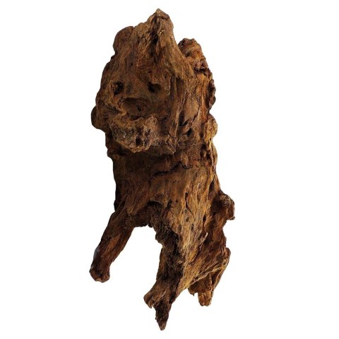 Philippines Classic Driftwood - drzewo mangrowca z wody L 30cm - 40cm Terrario