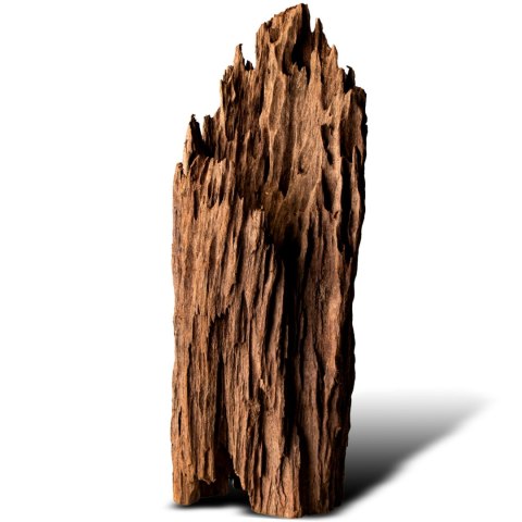 Philippines Classic Driftwood - drzewo mangrowca z wody XL 40cm - 50cm Terrario