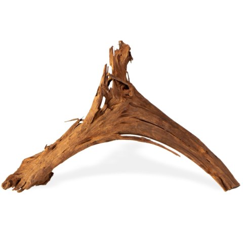 Philippines Classic Driftwood - drzewo mangrowca z wody M 25cm - 30cm Terrario