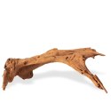 Philippines Classic Driftwood - drzewo mangrowca z wody M 25cm - 30cm Terrario