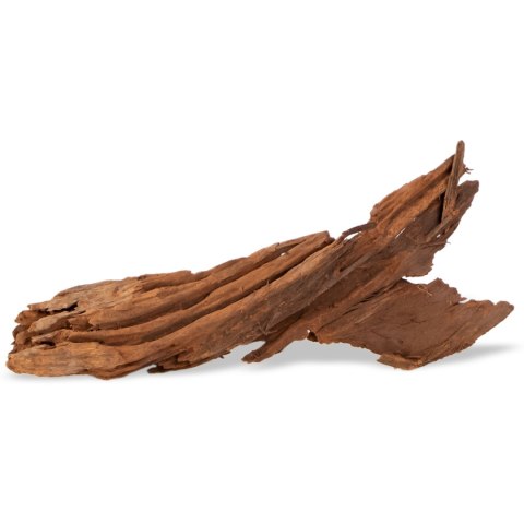 Philippines Classic Driftwood - drzewo mangrowca z wody M 25cm - 30cm Terrario