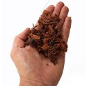 Terrario Madidi Rainforest 5l 500g - drobne zrębki kokosa Terrario