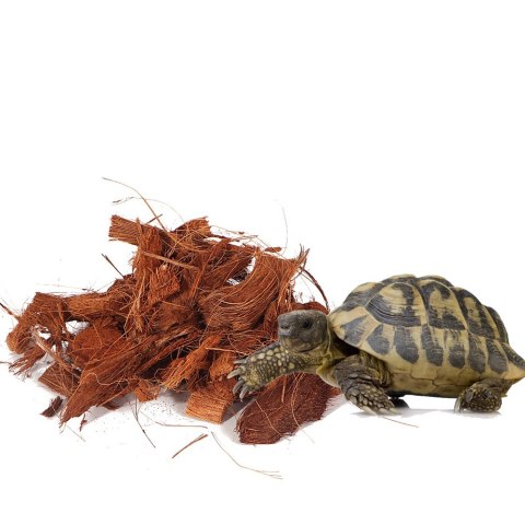 Terrario Mae Moei Rainforest 5l 450g - duże zrębki kokosa Terrario