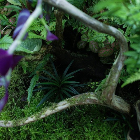 YOKUCHI YOKUCHI HAISUI BASE 0,5L - podłoże drenażowe do terrarium