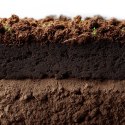 Aventerra Sweden Tropica Peat Soil 4l - torf drobny do terrarium Aventerra