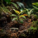 Aventerra Sweden Tropica Peat Soil 4l - torf drobny do terrarium Aventerra